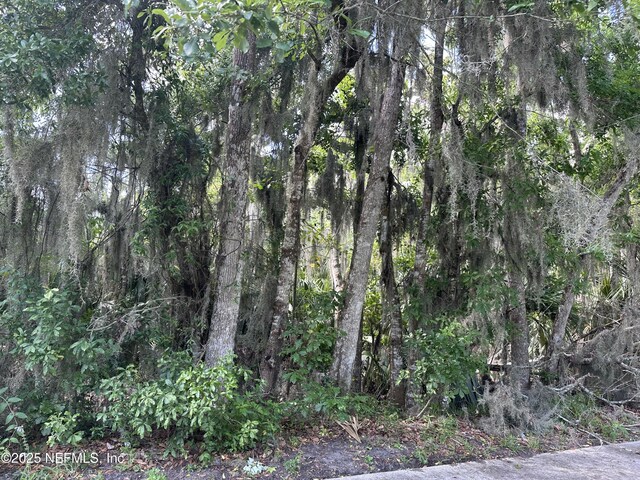 0000 Assisi Ln, Jacksonville, FL 32233