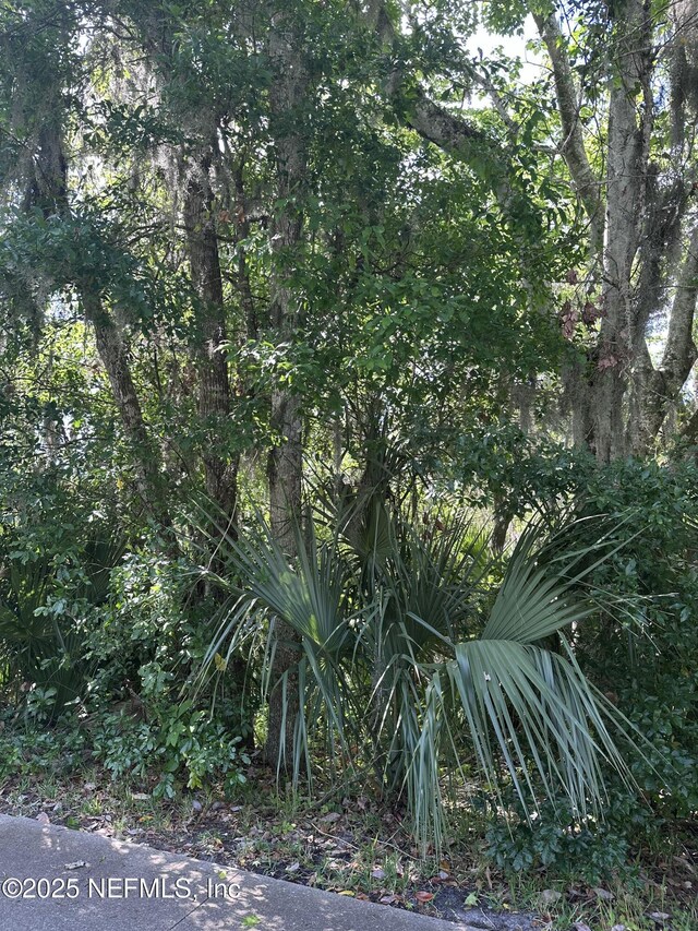 0000 Assisi Ln, Jacksonville, FL 32233