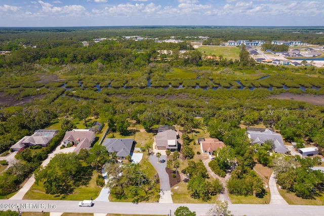 355 Lambert Ave, Flagler Beach, FL 32136 - drone / aerial view featuring a forest view and a residential view