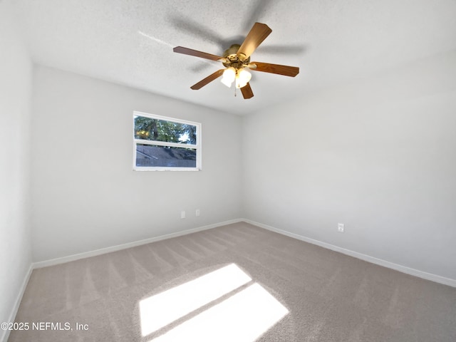 3205 Cormorant Dr, Jacksonville, FL 32223 - photo 5