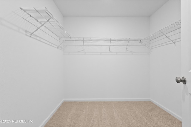 walk in closet with light carpet