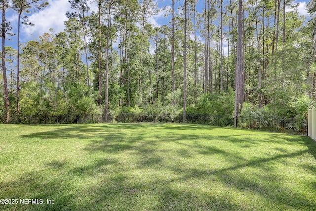 45 King Palm Ct, Jacksonville, FL 32081 - photo 8