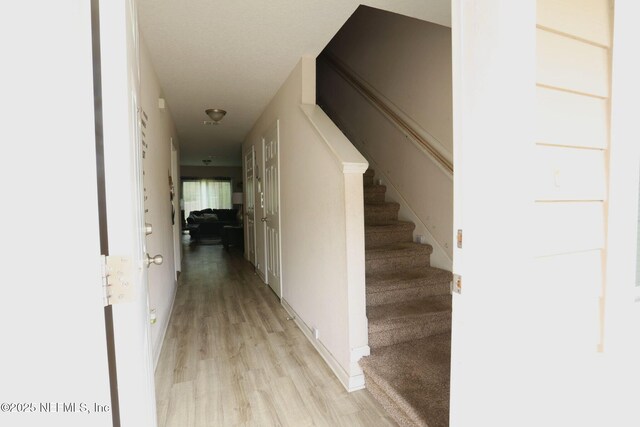 8349 Homeport Ct, Jacksonville, FL 32244 - photo 3