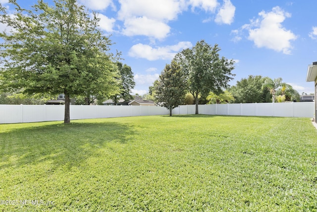 169 S Field Crest Dr, Saint Augustine, FL 32092 - view of yard featuring fence