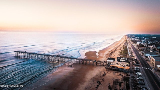 173 Greenwood Dr, Palm Coast, FL 32137 - aerial view with a water view, a pier, and a view of the beach