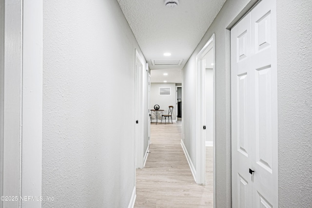 310 Capella Rd, Orange Park, FL 32073 - hallway featuring a textured wall, a textured ceiling, attic access, light wood finished floors, and baseboards