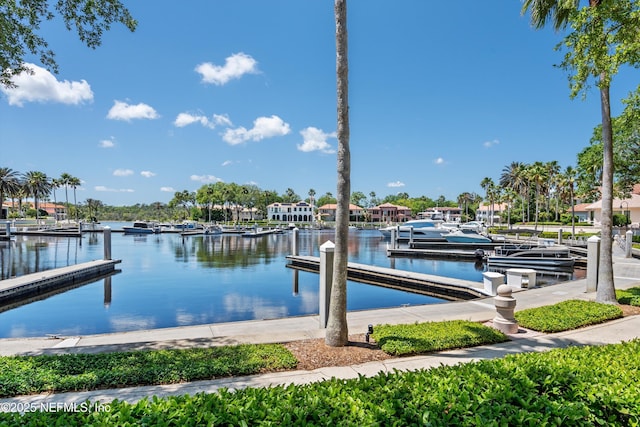 dock area featuring a water view