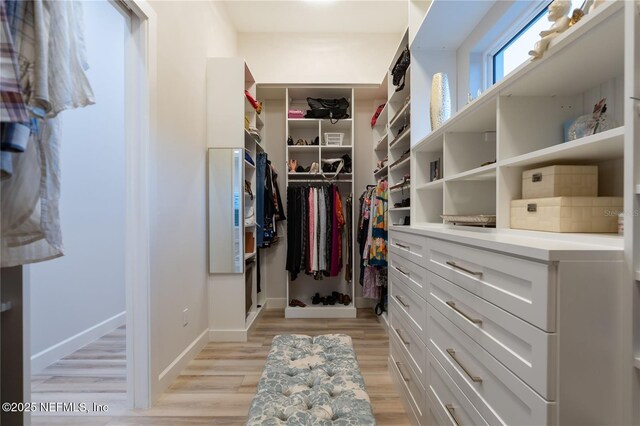 8 Island Estates Pkwy, Palm Coast, FL 32137 - spacious closet featuring light wood finished floors