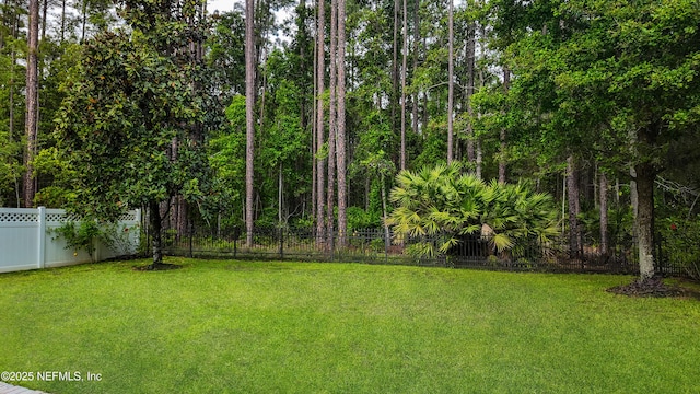 184 Rockcreek Dr, Saint Johns, FL 32259 - view of yard