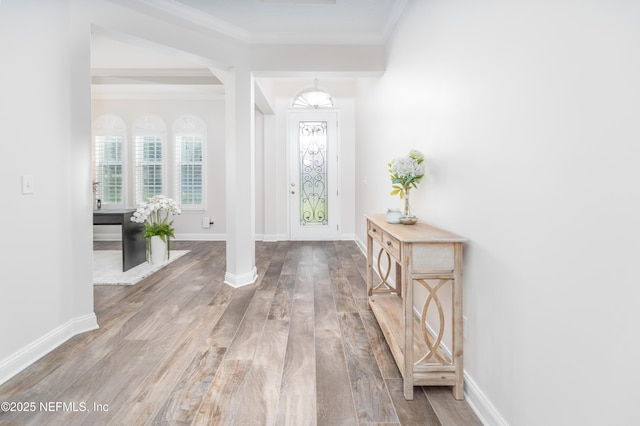 184 Rockcreek Dr, Saint Johns, FL 32259 - foyer entrance with wood finished floors, crown molding, and baseboards