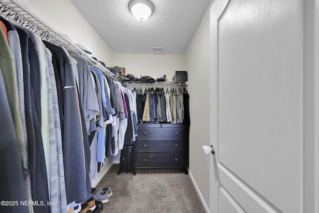 3699 Summit Oaks Dr, Green Cove Springs, FL 32043 - spacious closet featuring visible vents and carpet flooring