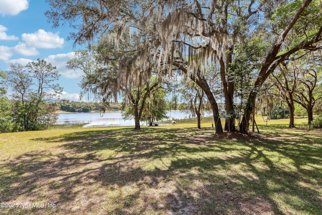 5822 Silver Sands Cir, Keystone Heights, FL 32656 - view of yard with a water view