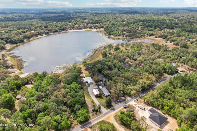 5822 Silver Sands Cir, Keystone Heights, FL 32656 - birds eye view of property with a water view and a forest view