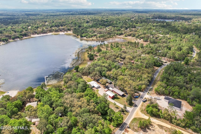5822 Silver Sands Cir, Keystone Heights, FL 32656 - birds eye view of property featuring a wooded view and a water view