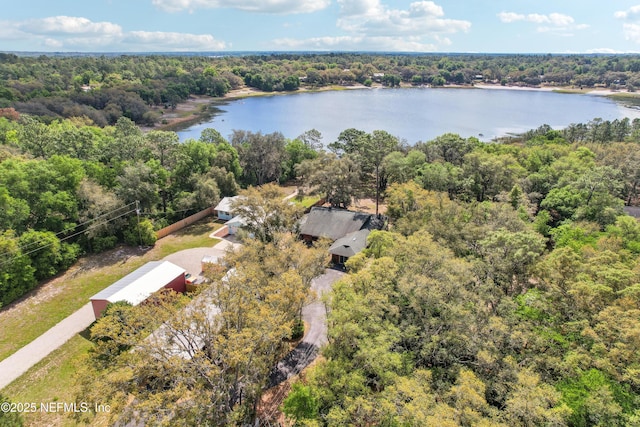 5822 Silver Sands Cir, Keystone Heights, FL 32656 - drone / aerial view featuring a water view and a view of trees