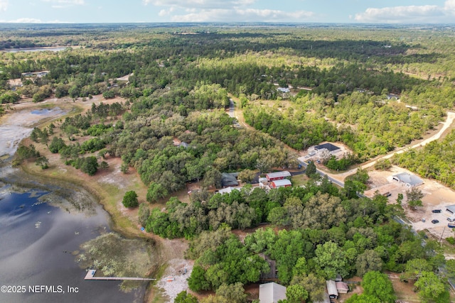 5822 Silver Sands Cir, Keystone Heights, FL 32656 - bird's eye view with a wooded view and a water view
