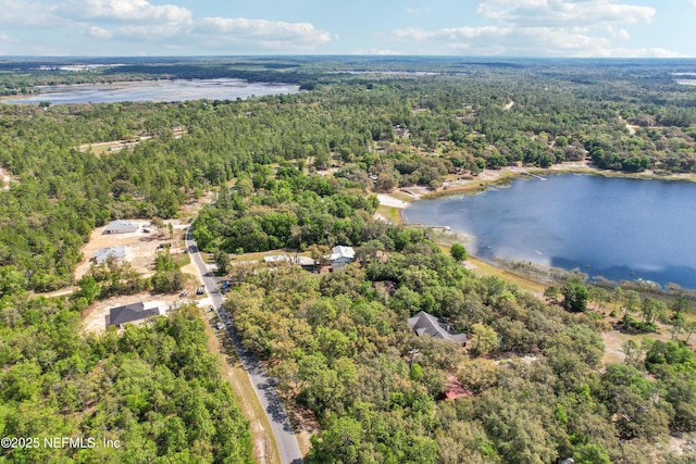 5822 Silver Sands Cir, Keystone Heights, FL 32656 - aerial view with a water view and a view of trees
