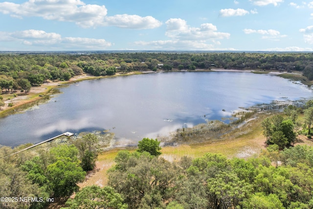 5822 Silver Sands Cir, Keystone Heights, FL 32656 - birds eye view of property with a forest view and a water view
