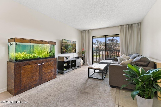 carpeted living area featuring a textured ceiling