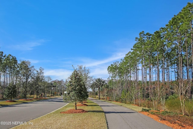 83 Woodgate Dr, Ponte Vedra, FL 32081 - view of street
