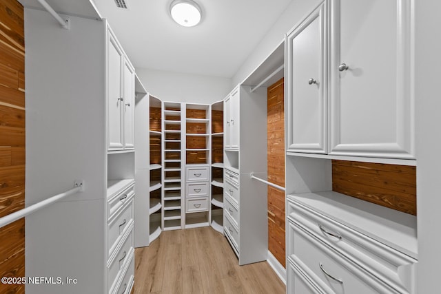 1018 14th Ave N, Jacksonville Beach, FL 32250 - spacious closet featuring light wood finished floors