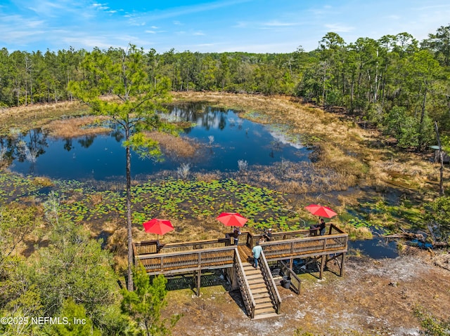 aerial view with a water view and a view of trees