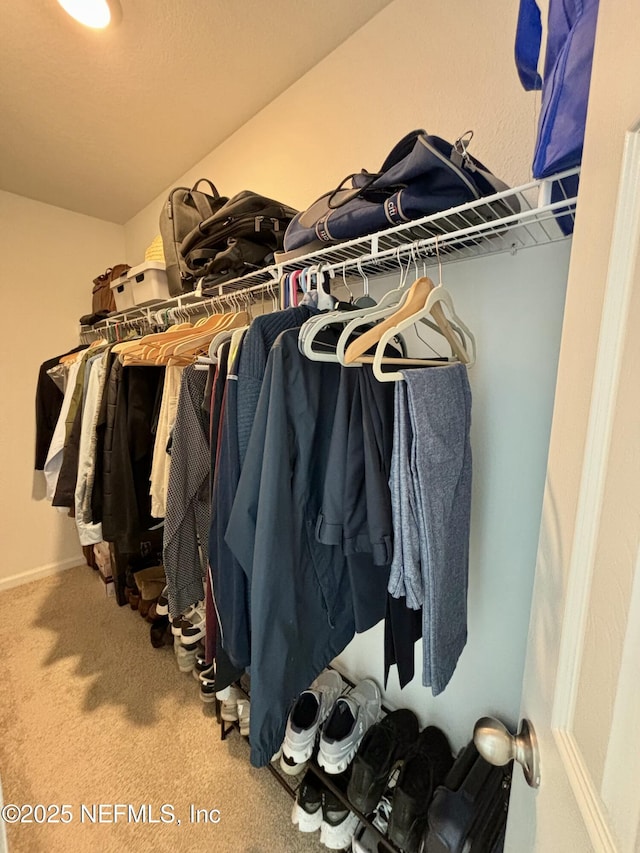 spacious closet with carpet