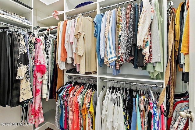 225 Garden Wood Dr, Ponte Vedra, FL 32081 - view of walk in closet