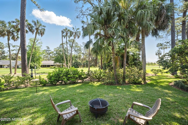 view of green lawn