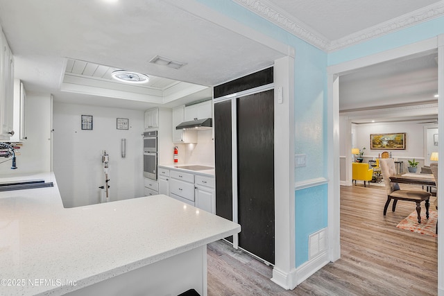 9 Blare Dr, Palm Coast, FL 32137 - kitchen with a tray ceiling, under cabinet range hood, black electric cooktop, and light wood-style flooring