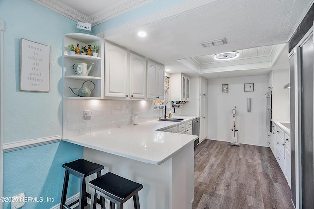 9 Blare Dr, Palm Coast, FL 32137 - kitchen with visible vents, open shelves, a sink, dark wood-style flooring, and a tray ceiling