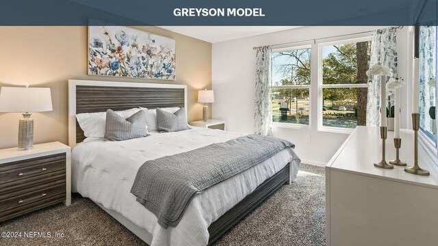 9926 Wyndbrook Ter, Jacksonville, FL 32210 - view of carpeted bedroom