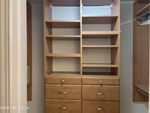 929 Seashell Ln, Ponte Vedra Beach, FL 32082 - view of spacious closet
