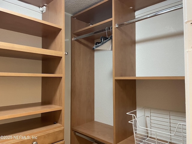 929 Seashell Ln, Ponte Vedra Beach, FL 32082 - view of spacious closet