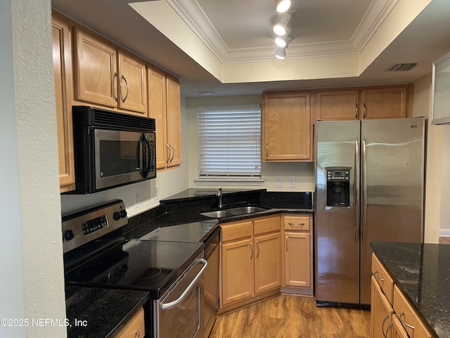 929 Seashell Ln, Ponte Vedra Beach, FL 32082 - kitchen featuring crown molding, a sink, stainless steel appliances, a raised ceiling, and rail lighting