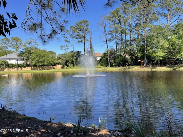 929 Seashell Ln, Ponte Vedra Beach, FL 32082 - water view