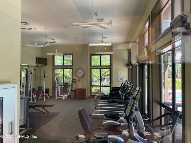 929 Seashell Ln, Ponte Vedra Beach, FL 32082 - gym with a high ceiling and carpet floors