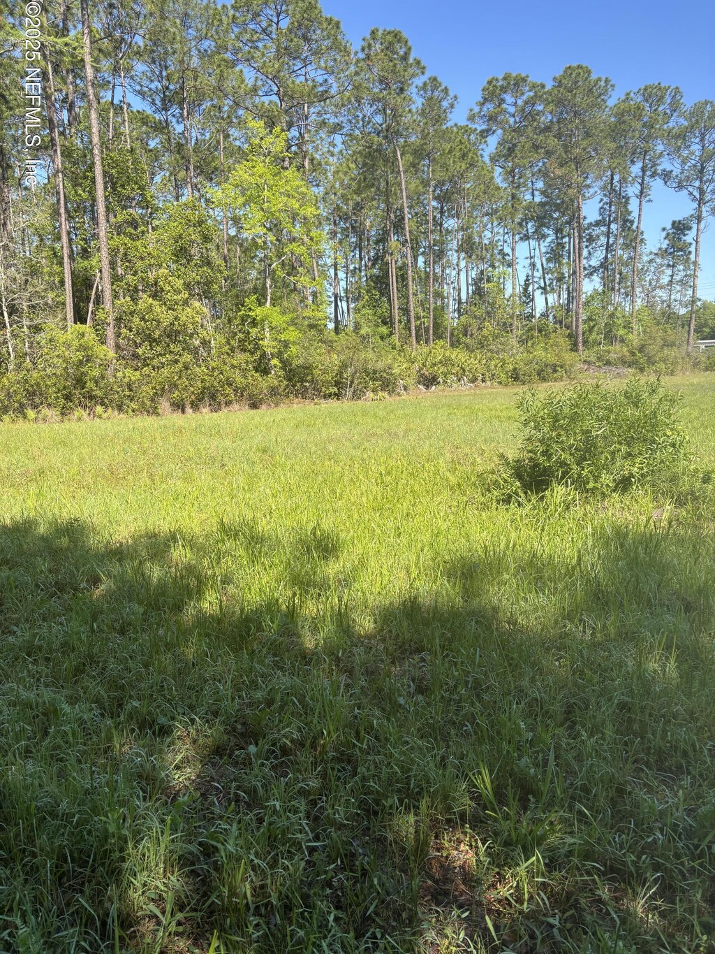 4405 County Road 218, Middleburg, FL 32068 - photo 1