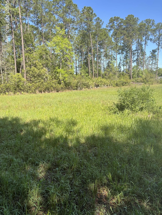 4405 County Road 218, Middleburg FL, 32068 land for sale