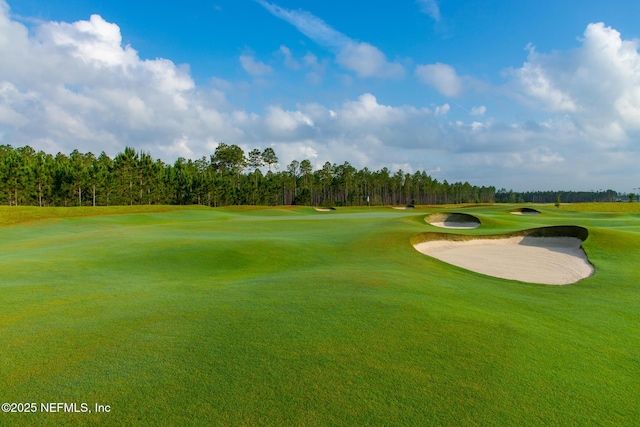 265 Dogleg Run, Saint Johns, FL 32259 - view of property's community with view of golf course and a lawn