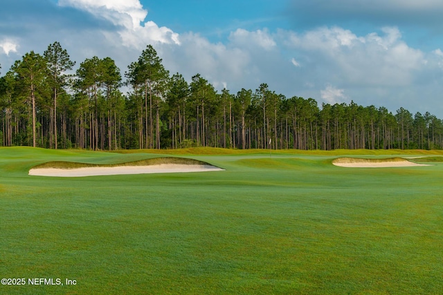 265 Dogleg Run, Saint Johns, FL 32259 - view of property's community featuring a yard and view of golf course