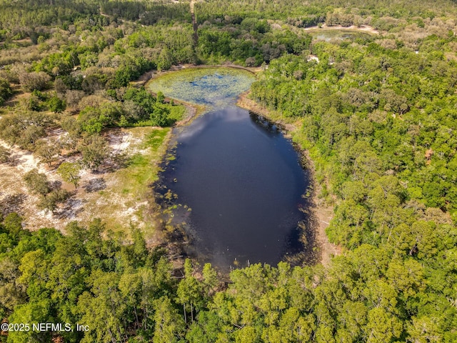 100 Forest Hills Rd, Melrose, FL 32666