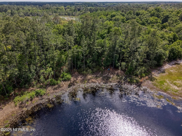 100 Forest Hills Rd, Melrose, FL 32666
