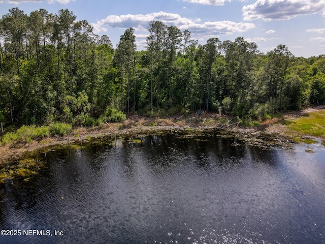 100 Forest Hills Rd, Melrose, FL 32666