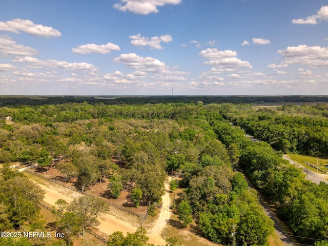 100 Forest Hills Rd, Melrose, FL 32666