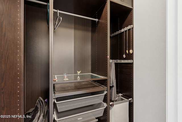 11975 Smith Pointe Ct, Jacksonville, FL 32218 - view of walk in closet