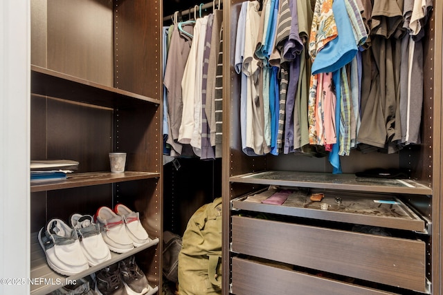 11975 Smith Pointe Ct, Jacksonville, FL 32218 - view of walk in closet