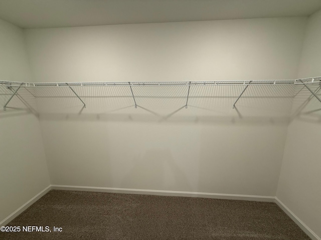 14125 Epply Dr, Jacksonville, FL 32218 - photo 9
