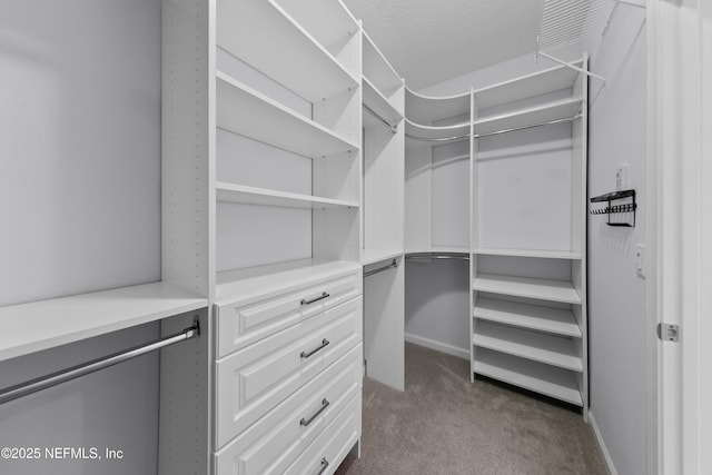247 Beale Ave, Saint Augustine, FL 32092 - walk in closet featuring dark carpet
