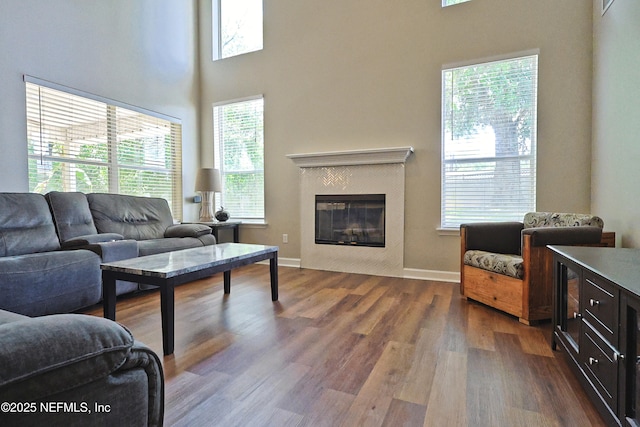 3038 Majestic Oaks Ln, Green Cove Springs, FL 32043 - living room featuring a tiled fireplace, baseboards, a high ceiling, and dark wood finished floors